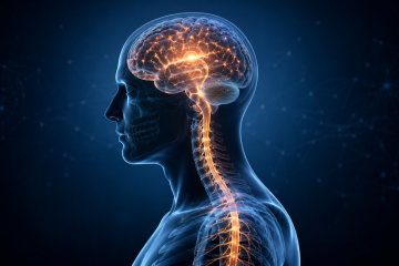 HJ Ross Company video thumbnail showing a human brain and spine for a discussion of chiropractic care and brain function.